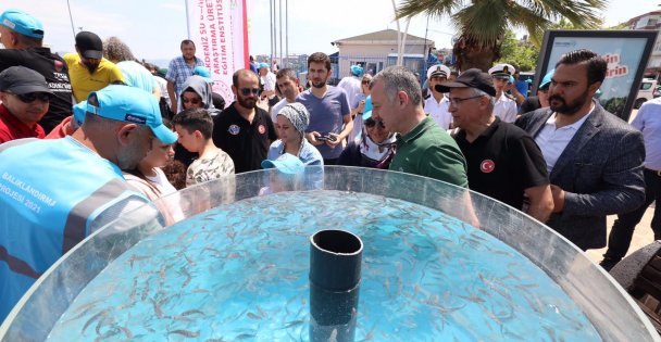 6 bin yavru balık İzmit Körfezi'ne salındı