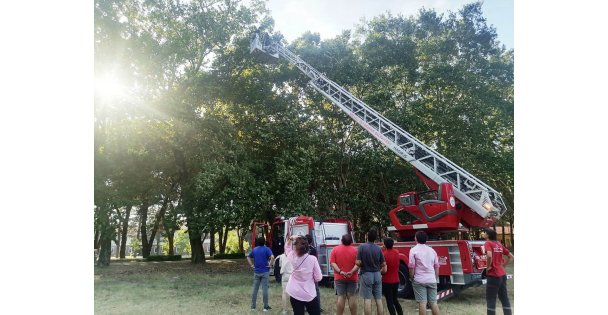 Ağaçta kalan İHA'yı itfaiye kurtardı