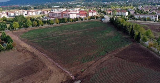 Büyükşehir'den TABİP'te Hasat ve Dikim Şenliği