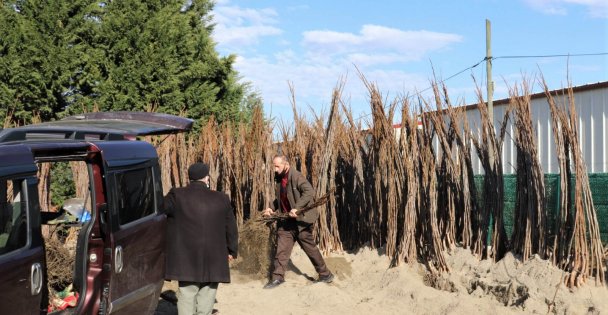 Büyükşehir'in yüzde 50 hibeli fidan dağıtımı başladı