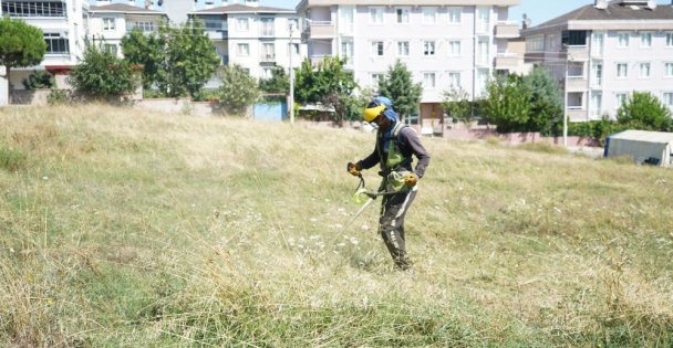 Çayırova'da yabani ot temizliği sürüyor