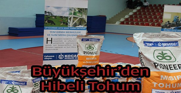 Çiftçilere yüzde 50 hibeli tohum desteği