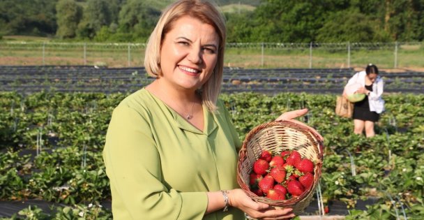 Çilek Köyünde Yarın Hasat Var