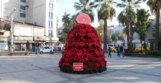 Cumhuriyetimizin Kurucusu Atatürkün Anısına 1086 Adet Atatürk Çiçeği