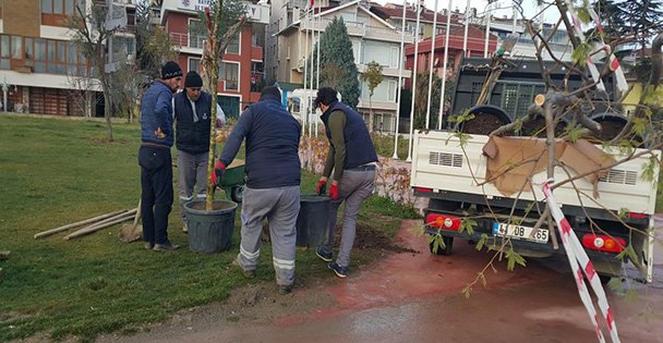 Darıca'da bahar hazırlığı sürüyor