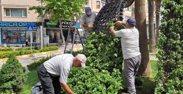 Darıca'da Kurban Bayramı öncesi hummalı çalışma sürüyor