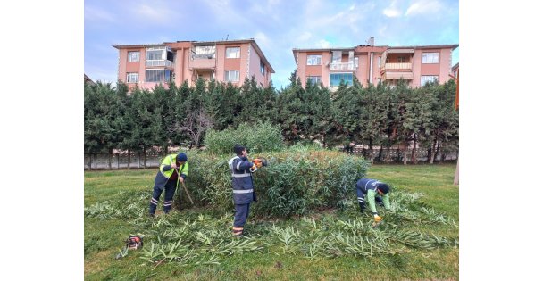 Derince'nin Yeşil Alanları Bahara Hazırlanıyor