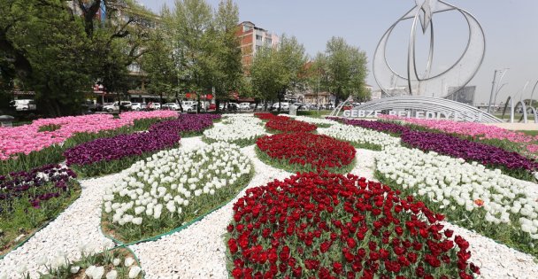 Gebze Rengarenk Çiçeklerle Donatılıyor