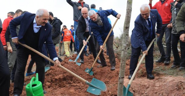 Gebze'de fidanlar toprakla buluştu