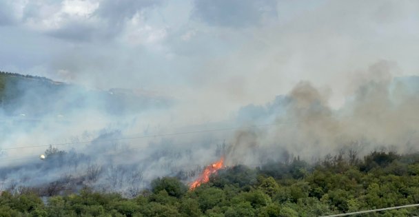 Gebze'de Orman Yangını Çıktı (Video Haber)