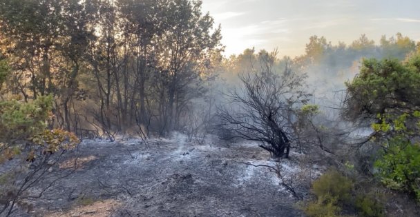 Gebze'de ormanlık alanda yangın çıktı