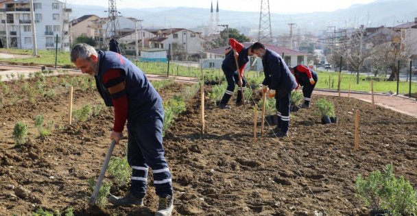 Gündoğdu Lavanta İle Canlandırılacak