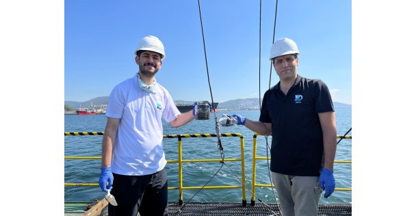 İzmit Körfezi'nde deniz ekosistemi hayat buluyor