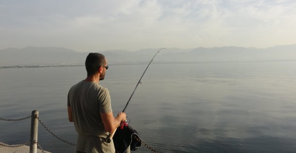 İzmit Körfezi'nde görünen denizanaları tehlikeli değil