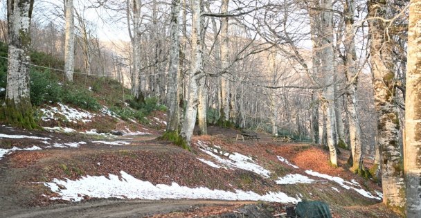 Kartepe'ye yeni mesire alanı