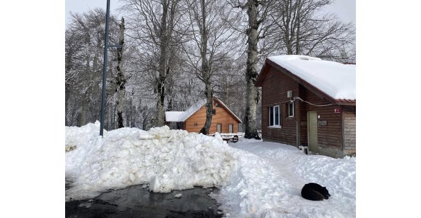 KEL TEPEYİ KARTEPE YAPAN VALİ VE KUZUYAYLA DA GENÇLİK HATIRALARIM