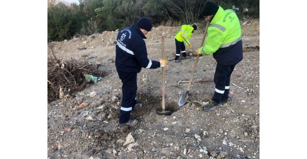 Kocaeli Büyükşehir bir yılda 124 bin 779 fidanı toprakla buluşturdu