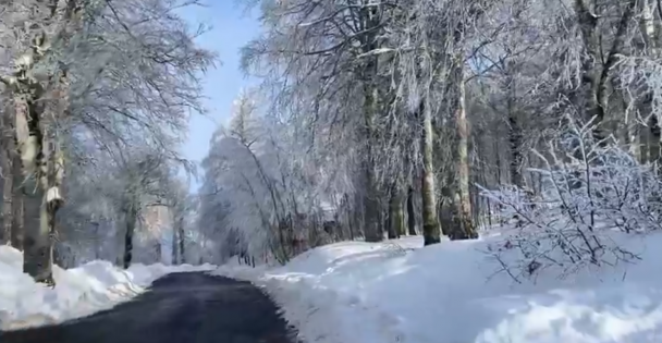 KOCAELİ KARTEPE  KUZU YAYLA TABİAT PARKI