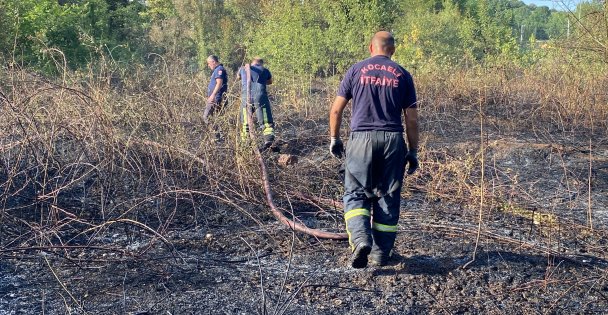 Kocaeli'de Ağaçlık Alan Yandı: 10 Hektar Küle Döndü