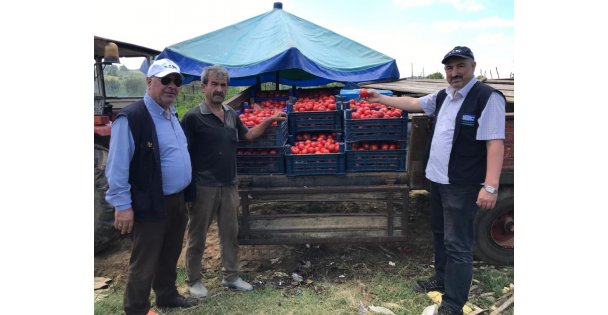 Kocaeli'de belediyenin desteğiyle kurulan seralar ürün vermeye başladı