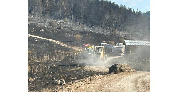 Körfez Belediyesi'nden Ankara ve Bolu arasındaki yangına destek