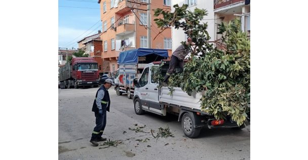 Körfez'de yeşil alanlara bakım