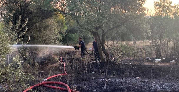 Mangaldan çıkan yangın 2 dönümlük alanı küle çevirdi