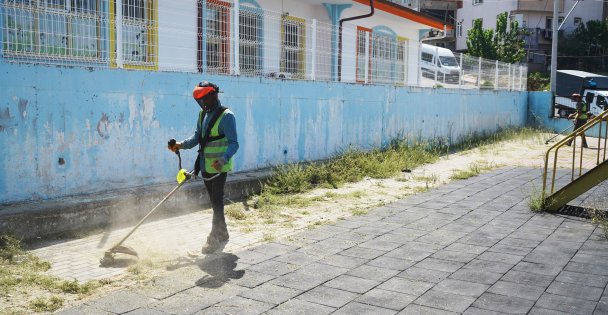 Okul bahçelerinde yabani ot temizliği