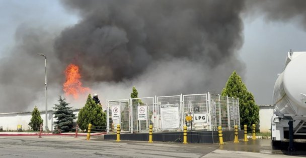 Palet fabrikasındaki yangına müdahale sürüyor