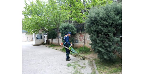 Seçim Öncesi Okul Bahçelerine Bakım