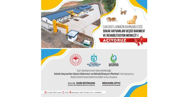 Sokak hayvanları rehabilitasyon merkezi açılıyor