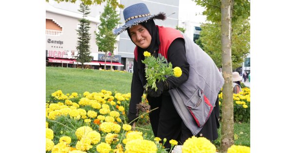 Sonbahar renkleri toprakla buluşuyor