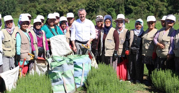 TABİP'te 2024 üretim sezonu tamamlandı