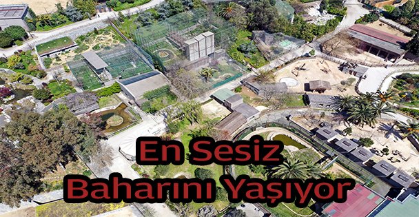 Tarihinin En Sesiz Baharını Geçiriyor