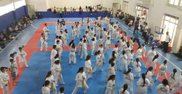 Teakwondo Birlik Sporudur!