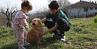 Alex yeni yuvasına kavuştu