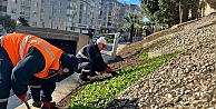 Gebze çiçeklerle donatılıyor