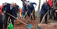 Gebzede fidanlar toprakla buluştu