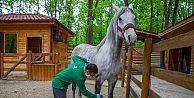 Avrupa'nın En Büyük Doğal Yaşam Parkı Ormanya, Bayrama Hazır