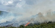 Gebze'de Orman Yangını Çıktı (Video Haber)