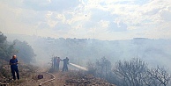 Gebze'deki Orman Yangını Söndürüldü