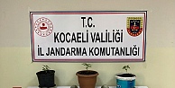 Kocaeli'de uyuşturucu operasyonu: 4 gözaltı