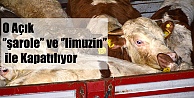 O açık 'şarole' ve 'limuzin'le kapatılıyor