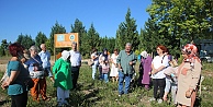 TABİP herkesin beğenisini kazanıyor