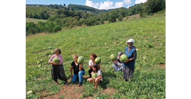 Üreticilere Çilek Bahçesi Tesisi Ve Karpuz Tohumu Desteği