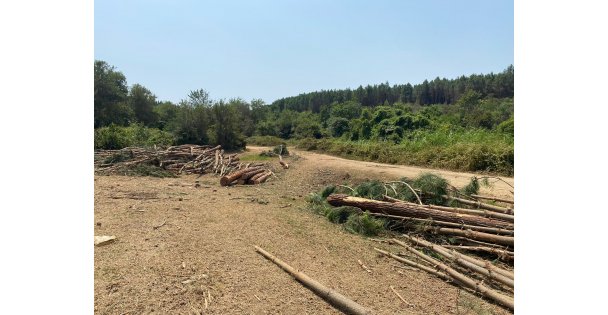 Uzunkum Yeniden Tabiat Parkı İlan Edilmeli