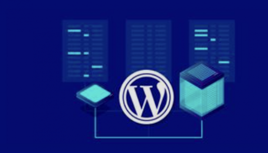 WordPress Hosting ile Web Site Yönetim Kolaylığı